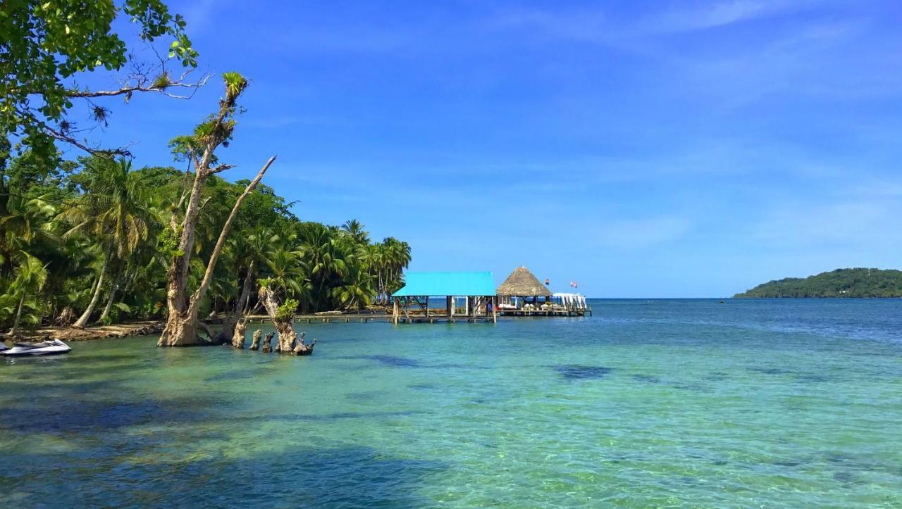 Somewhere Otel Bocas del Toro Dış mekan fotoğraf