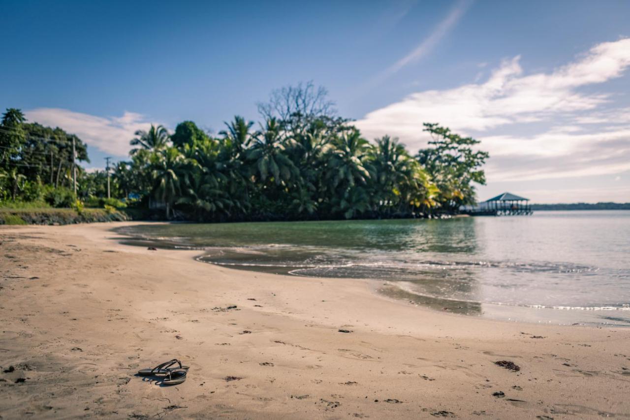 Somewhere Otel Bocas del Toro Dış mekan fotoğraf